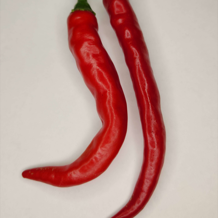 Hot Portugal
