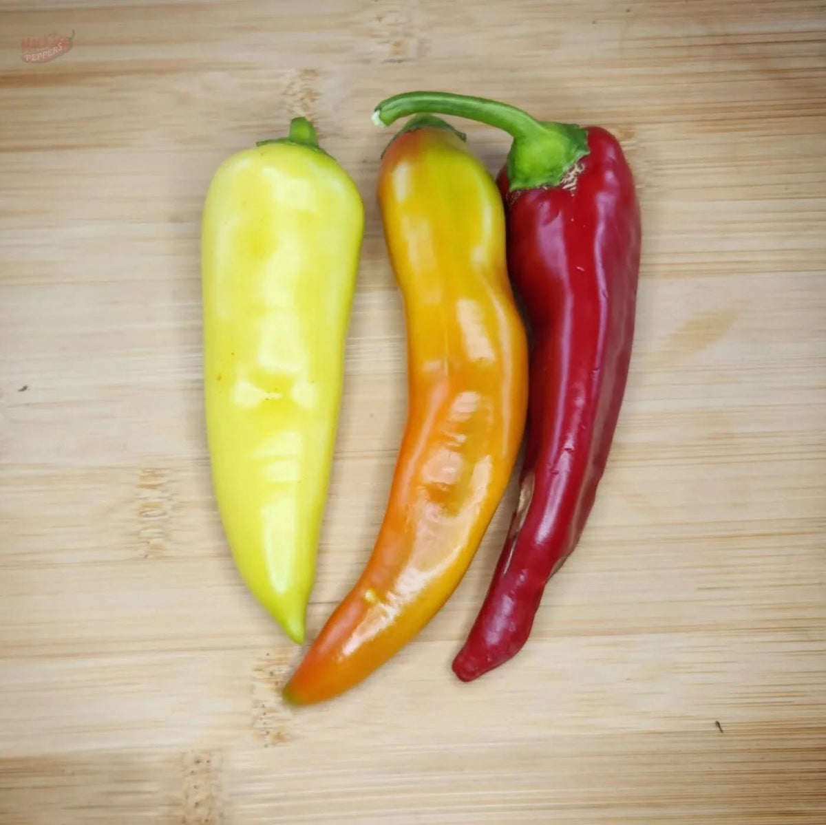 Banana Pepper - Mack's Peppers Mild