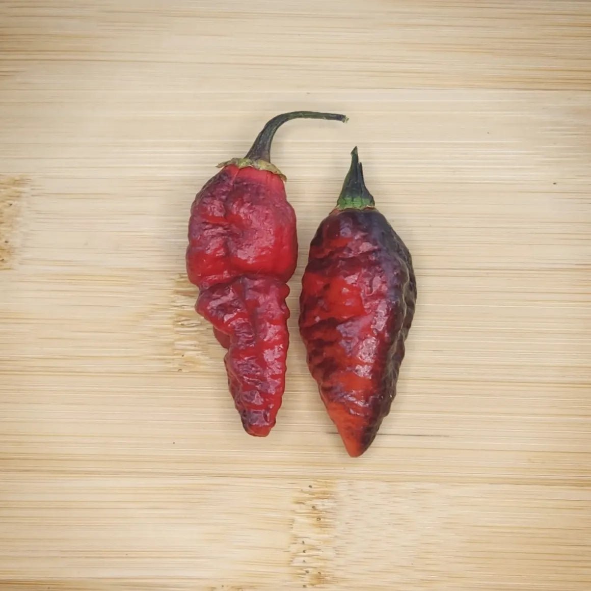 Black BBG Armageddon - Mack's Peppers Superhot