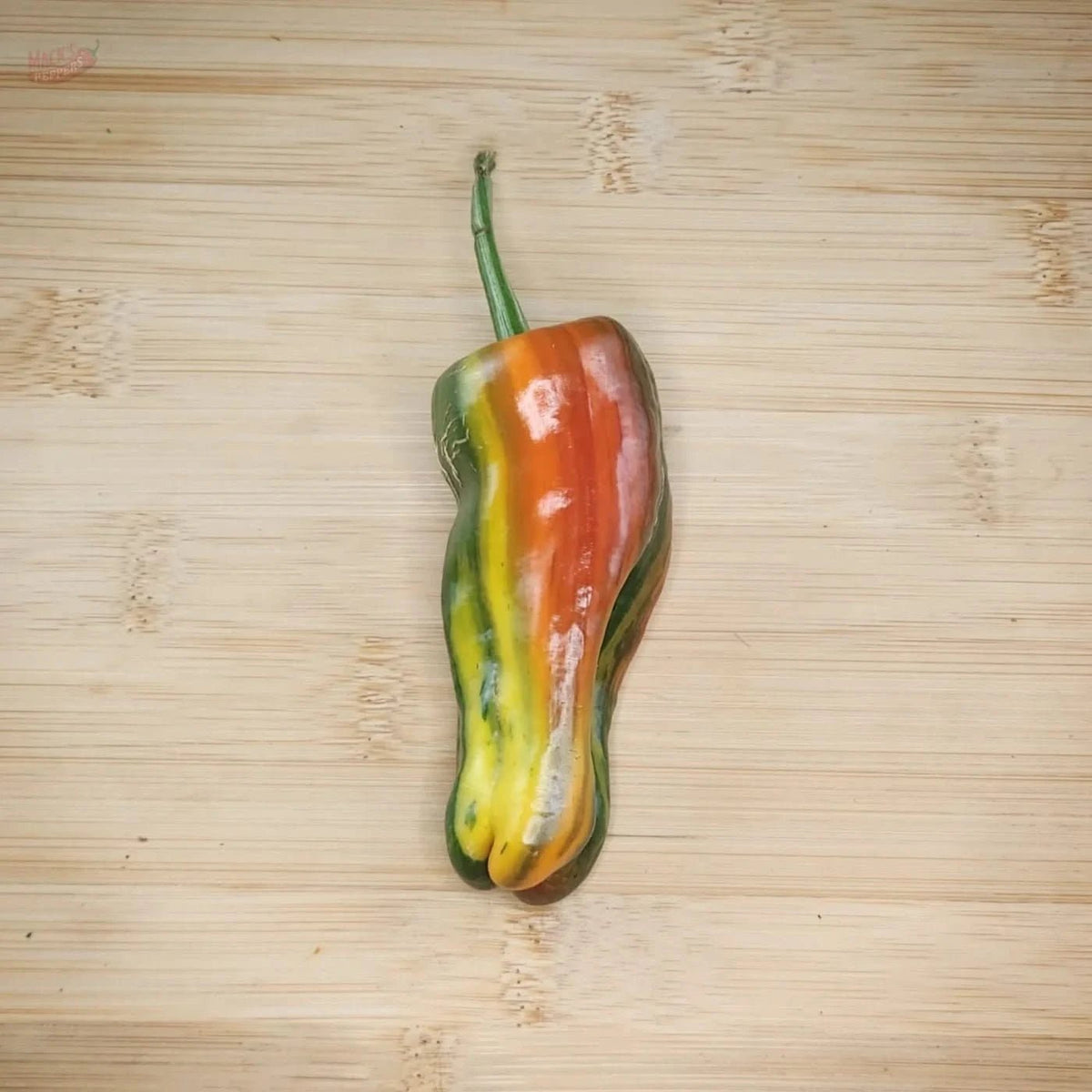 Bryans Blood - Mack's Peppers Mild