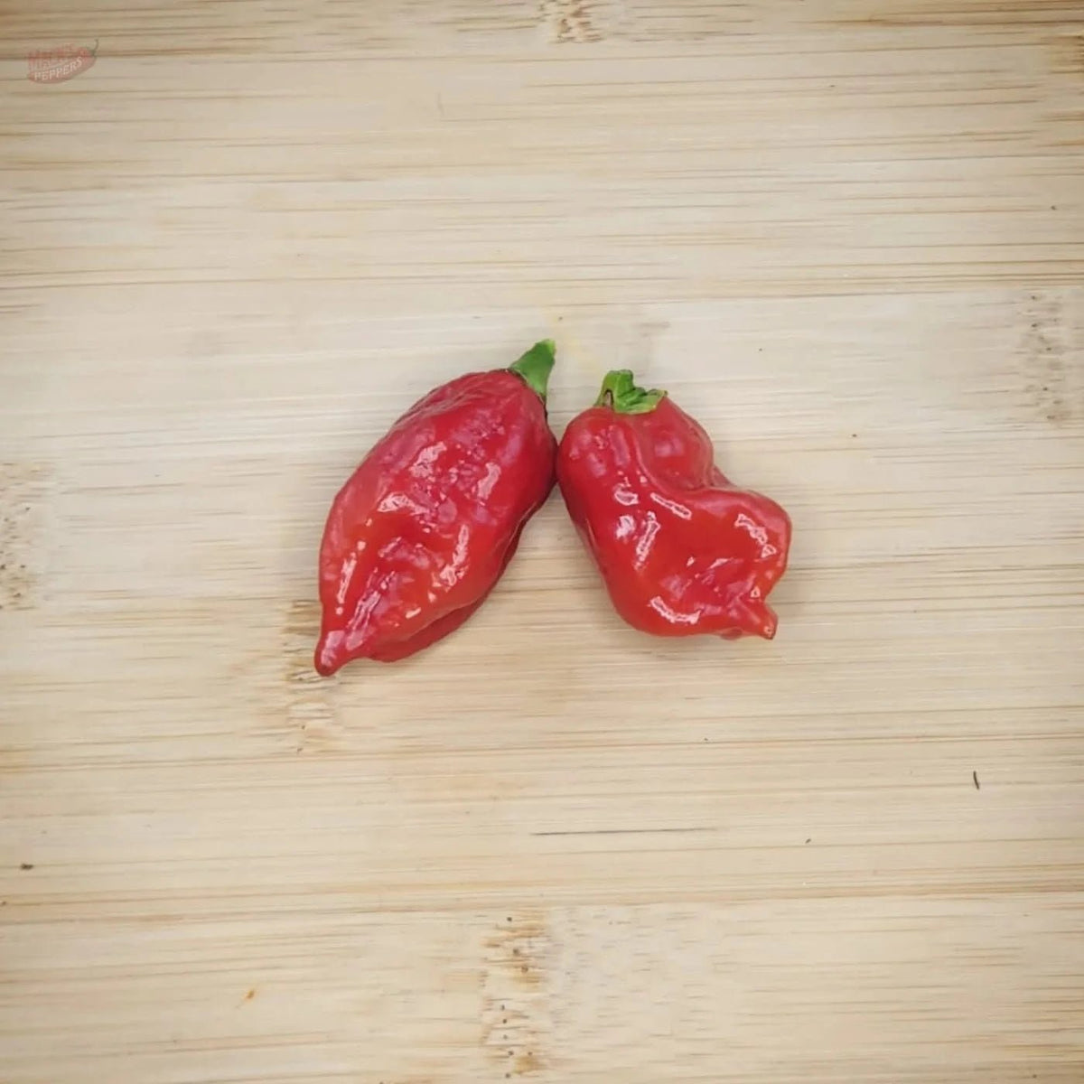 Dorset Naga - Mack's Peppers Superhot