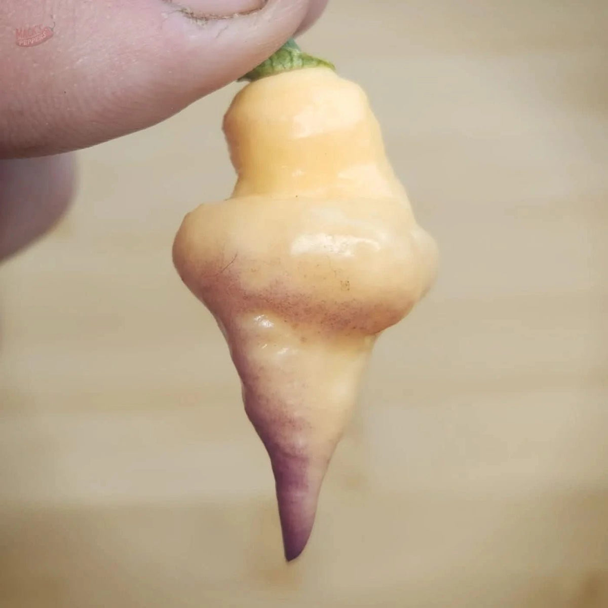 Ganzo Peach - Mack's Peppers Hot