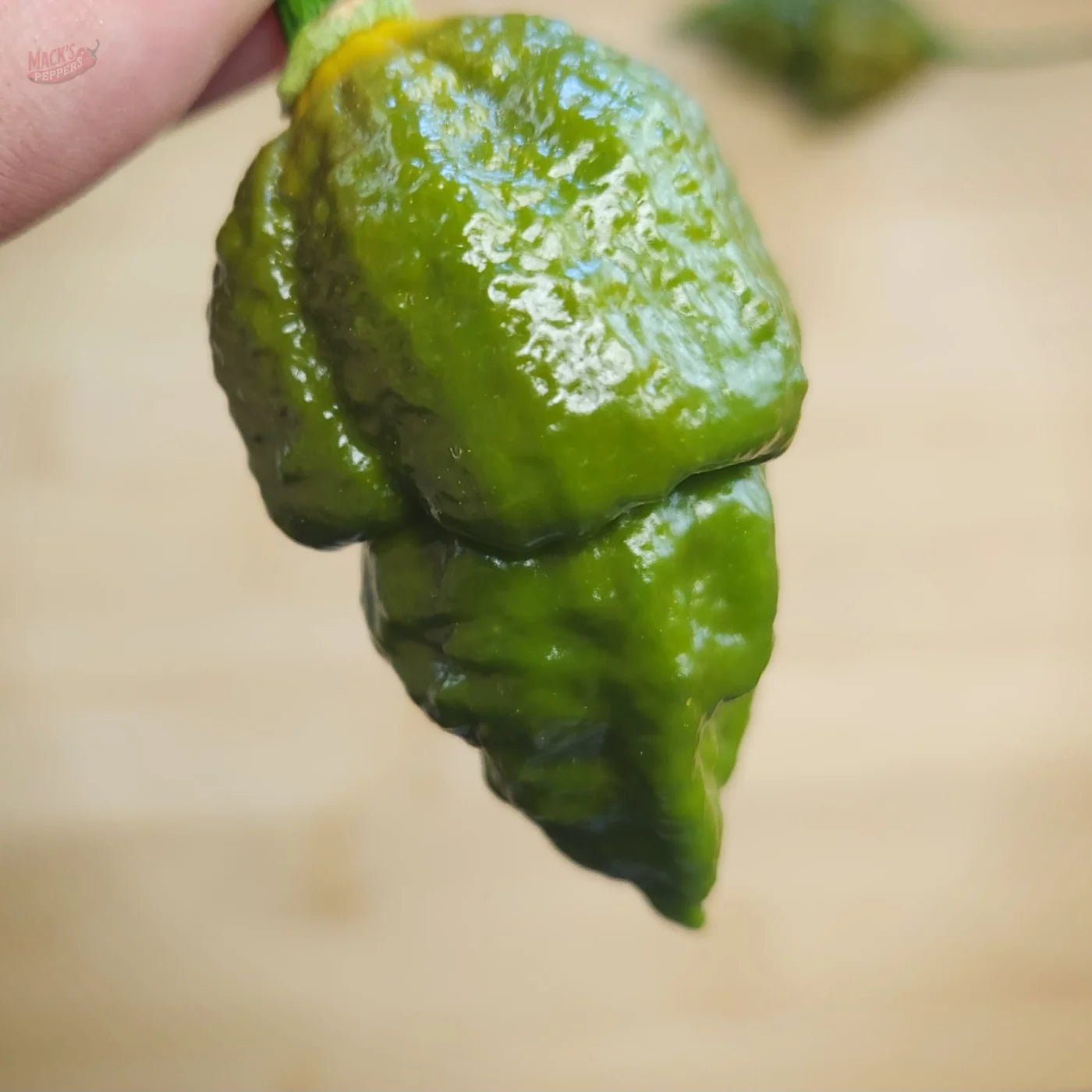 Gator Jigsaw - Mack's Peppers Superhot