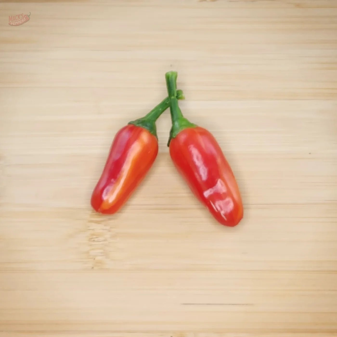 Mattapeño (Variegated Jalapeño) - Mack's Peppers Mild