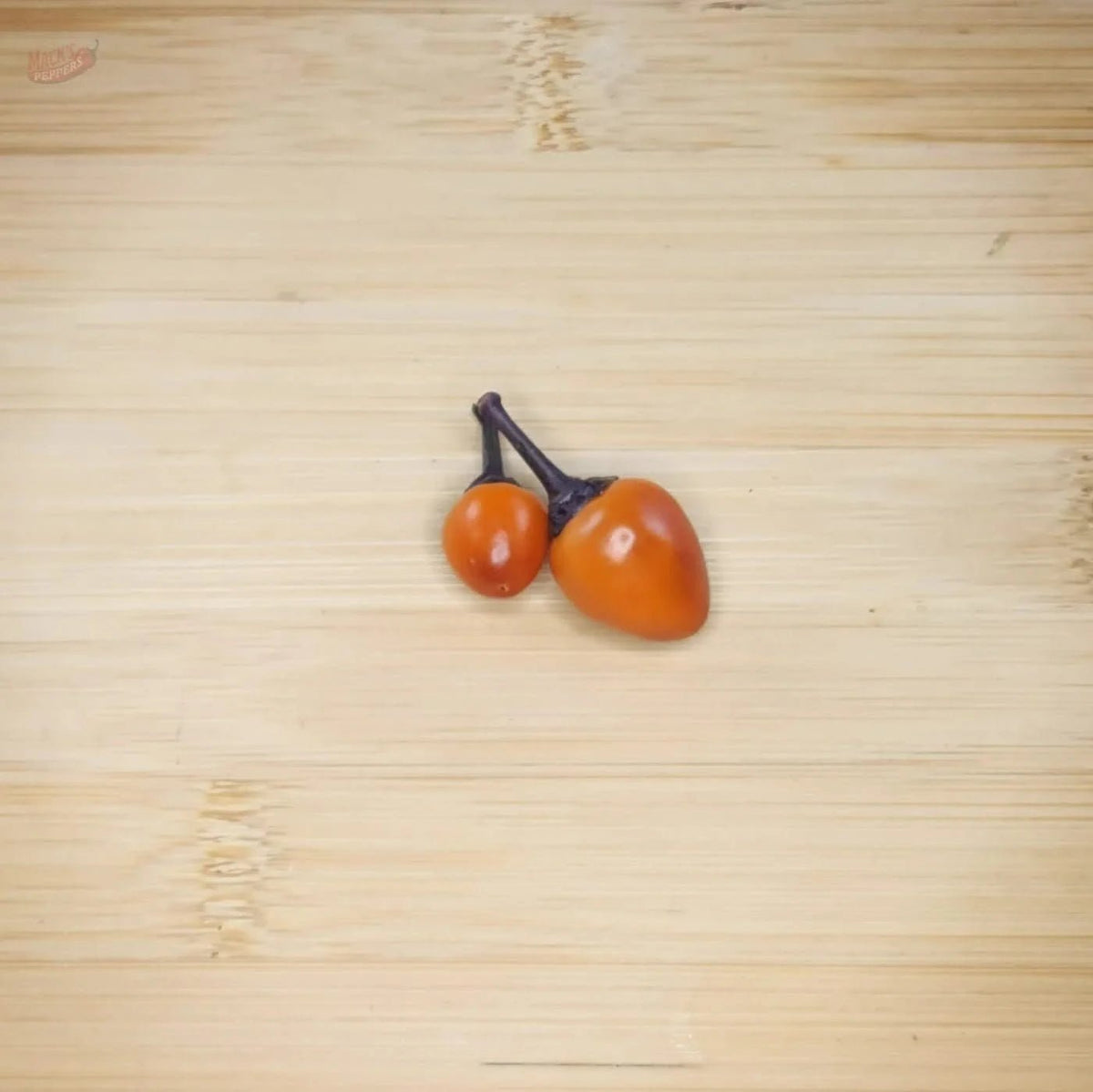 Midwest Sunrise (Midwest Midnight Orange) - Mack's Peppers Mild