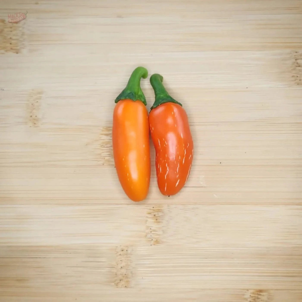 Orange Spice Jalapeño - Mack's Peppers Medium