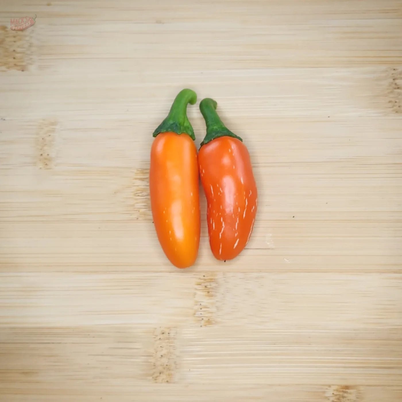 Orange Spice Jalapeño - Mack's Peppers Medium