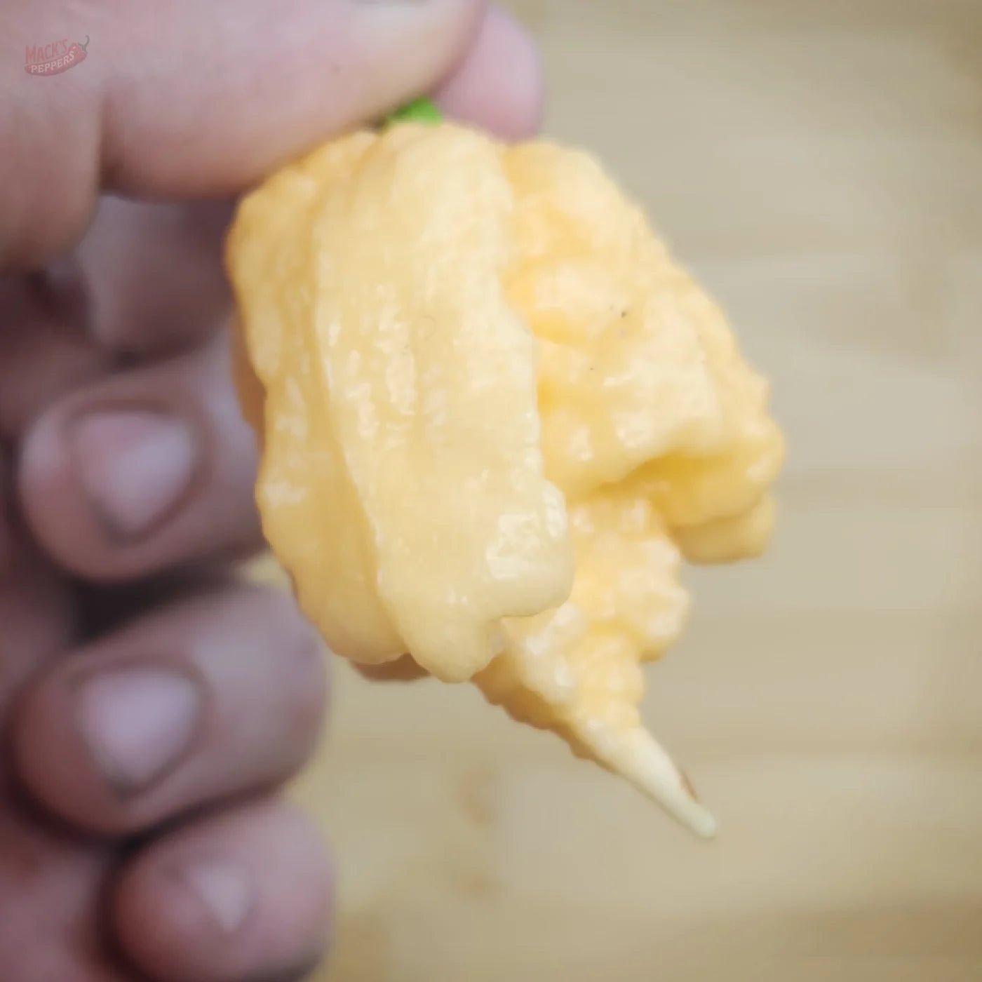 Peach Miasma - Mack's Peppers Superhot