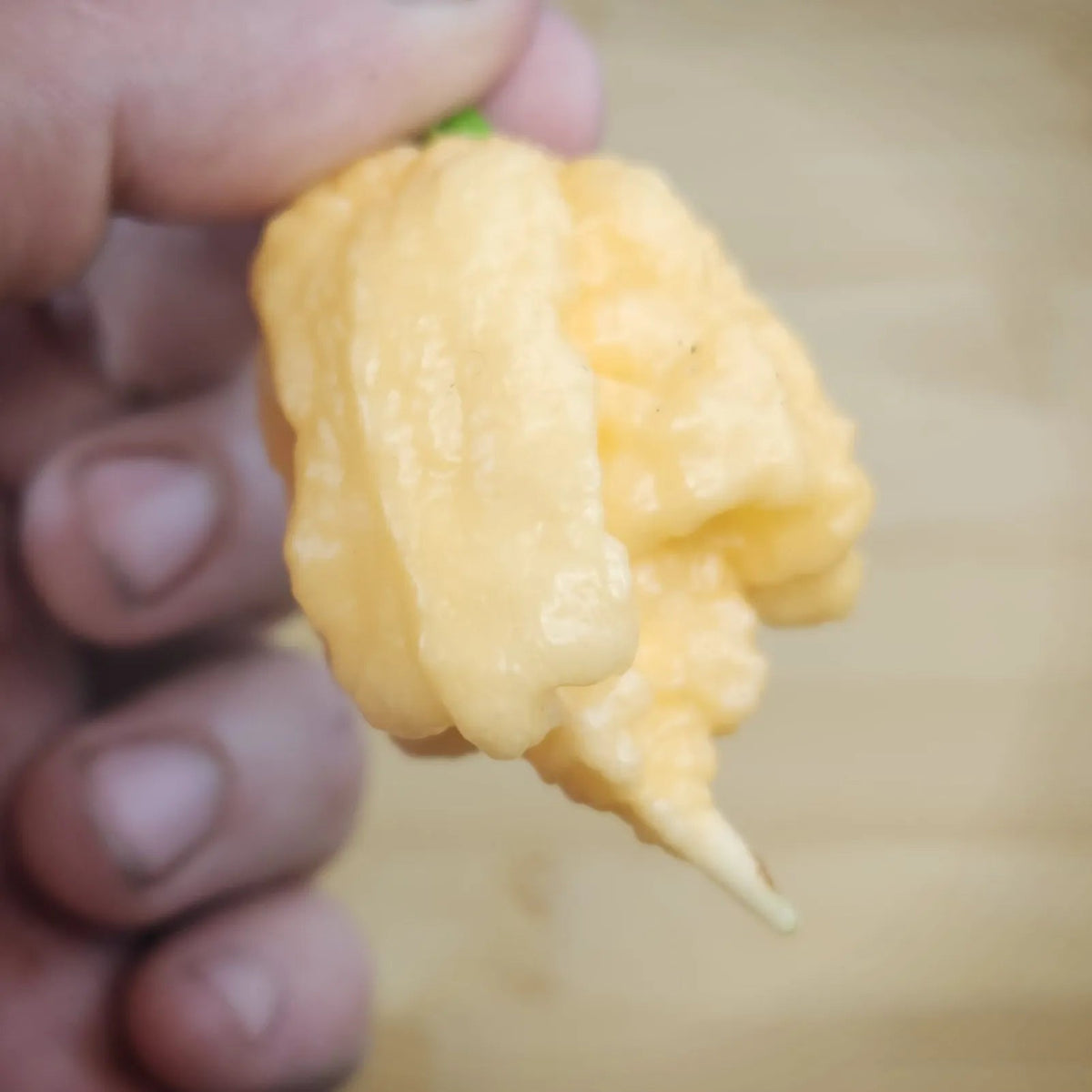 Peach Miasma - Mack's Peppers Superhot
