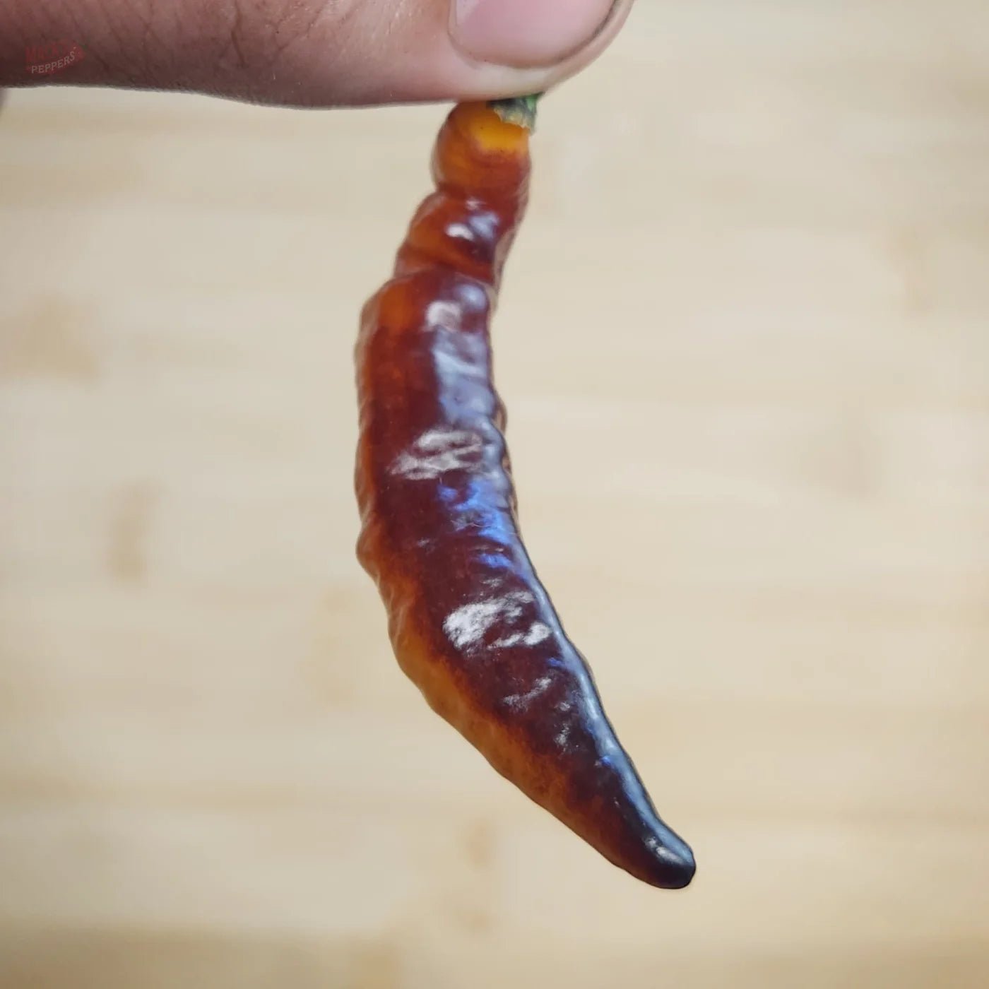 Purple Murupi - Mack's Peppers Hot