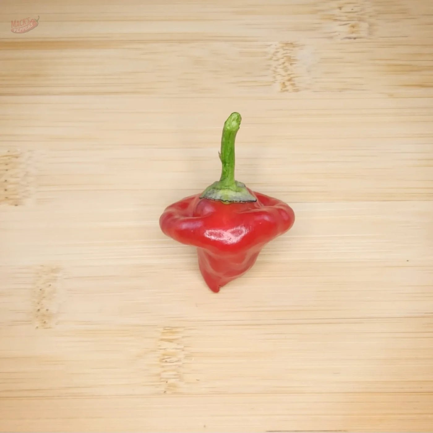 Purple UFO - Mack's Peppers Medium