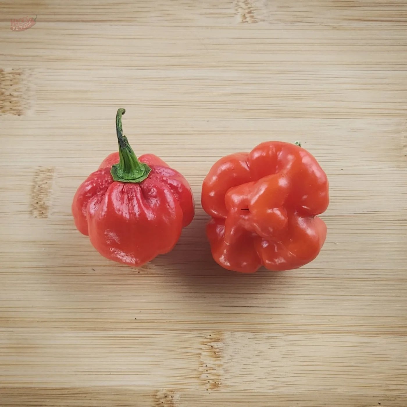 Scotch Bonnet Red - Mack's Peppers Hot