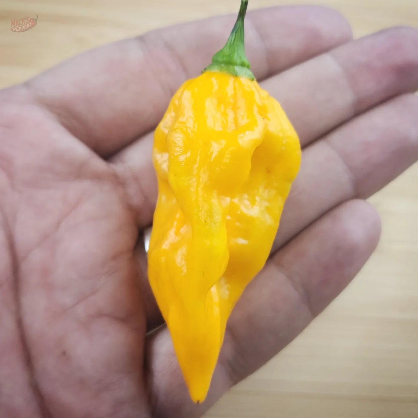 Yellow Fatalii - Mack's Peppers Hot