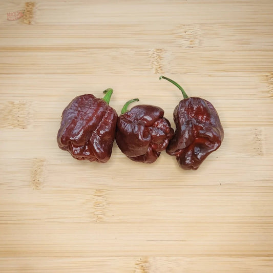 7 Pot Douglah - Mack's Peppers Superhot