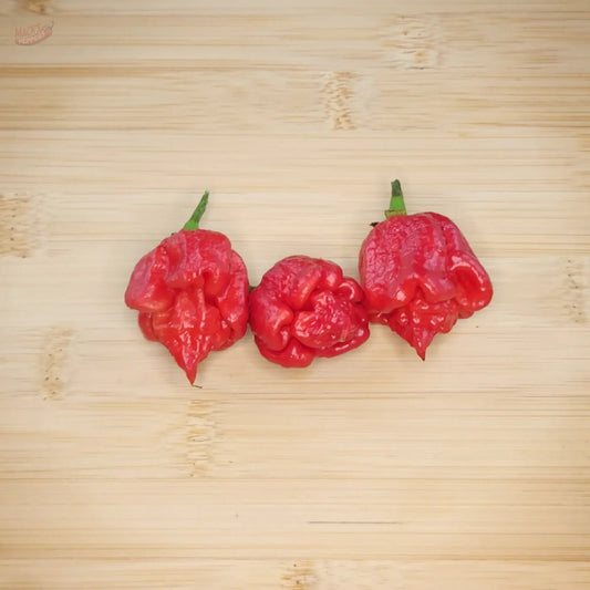 7 Pot Primo Heatless - Mack's Peppers Mild