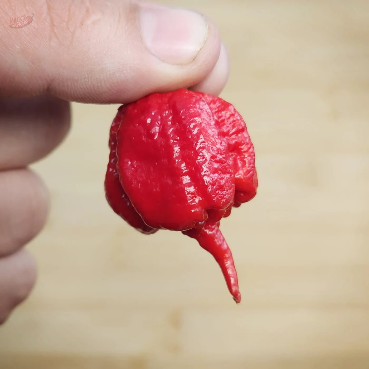 7 Pot Primo - Mack's Peppers Superhot