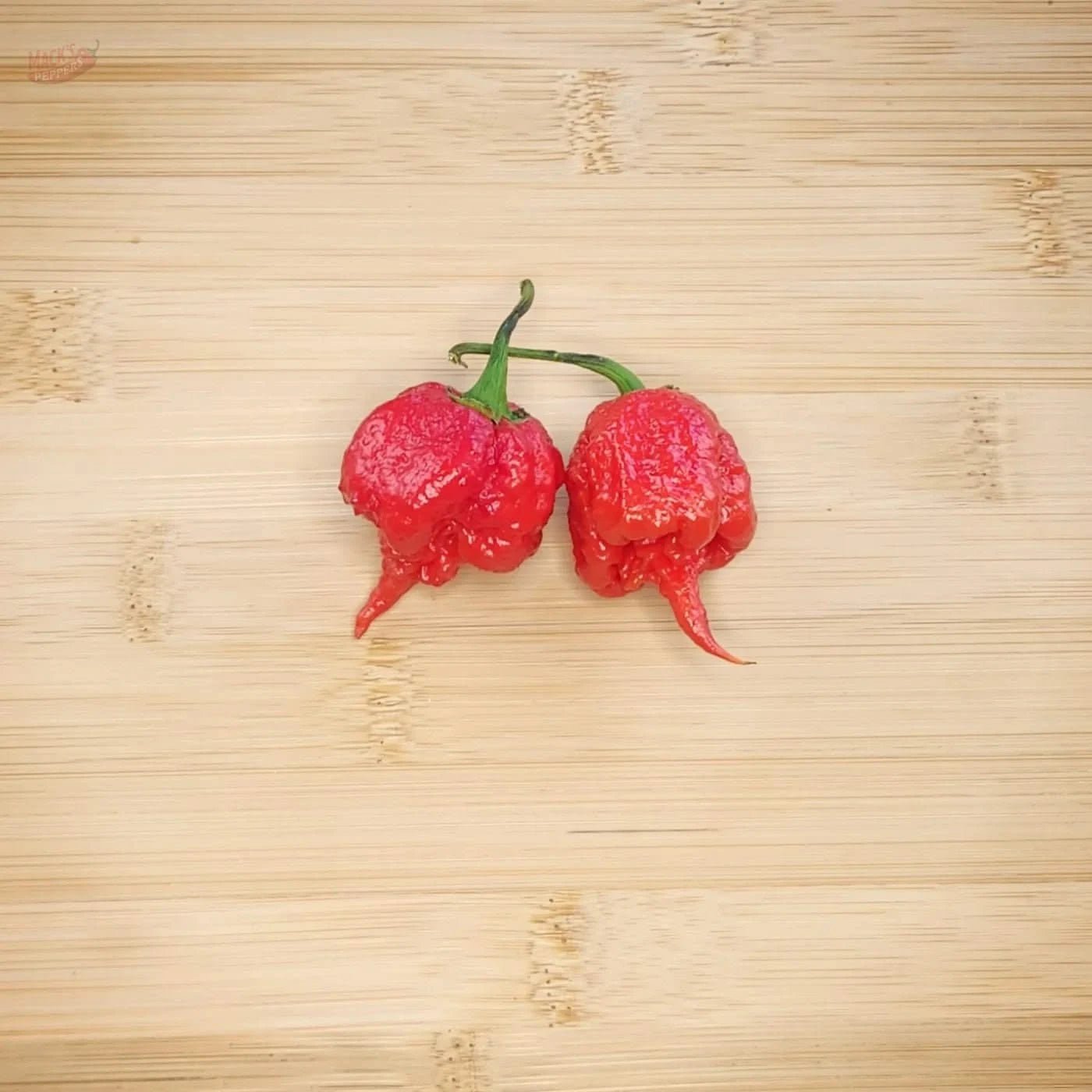 7 Pot Primo - Mack's Peppers Superhot