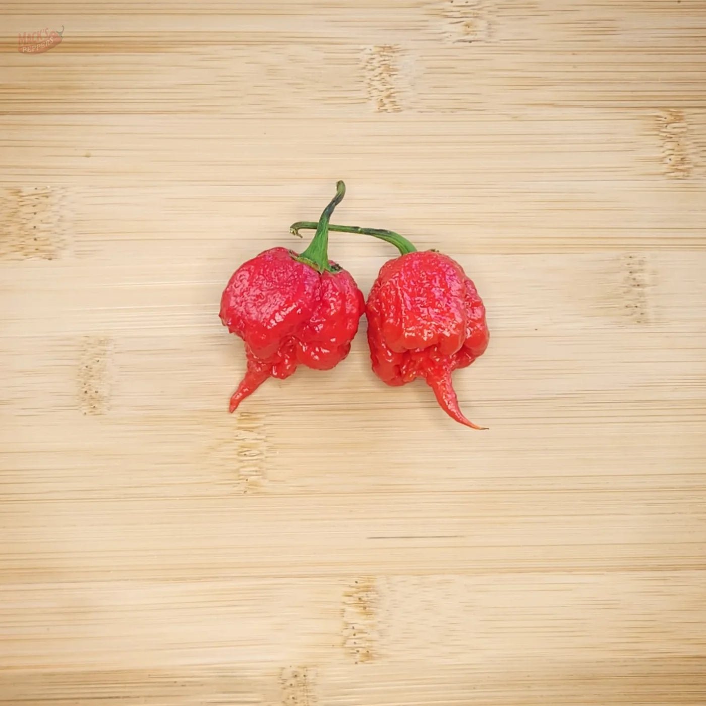 7 Pot Primo - Mack's Peppers Superhot