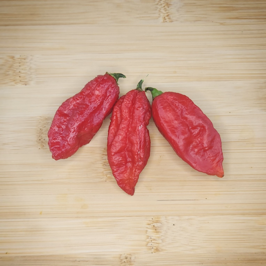 Red Ghost