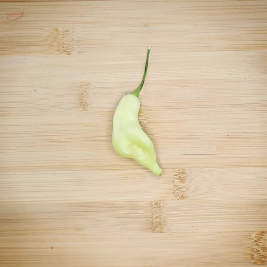 Aji Fantasy White - Mack's Peppers Mild
