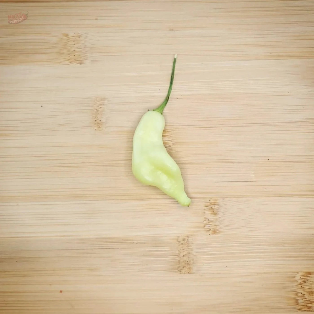 Aji Fantasy White - Mack's Peppers Mild