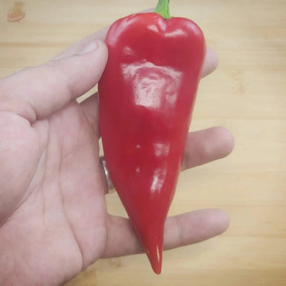 Ajvarski - Mack's Peppers Mild