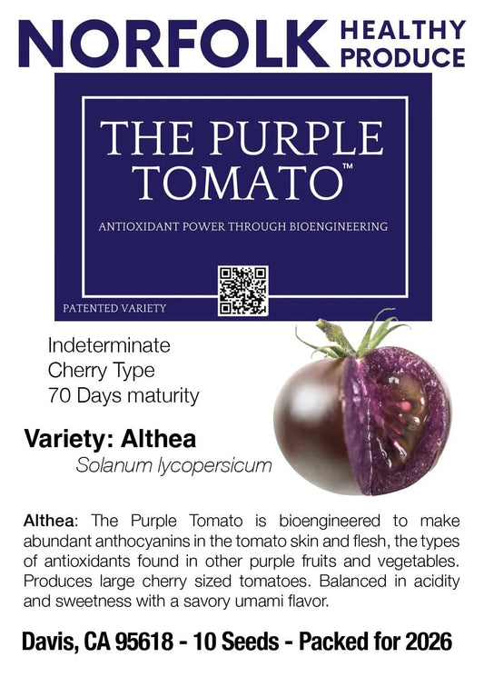 Althea - The Original Purple Tomato™ - Mack's Peppers