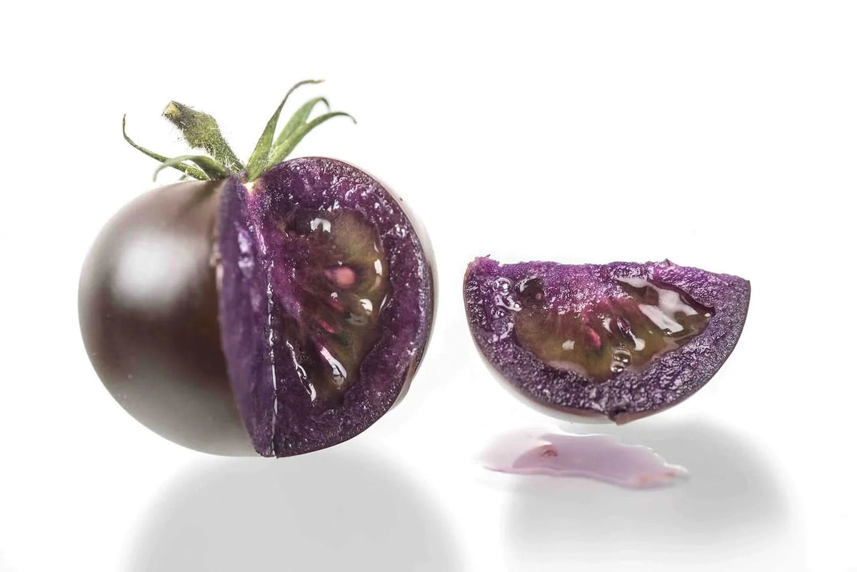 Althea - The Original Purple Tomato™ - Mack's Peppers