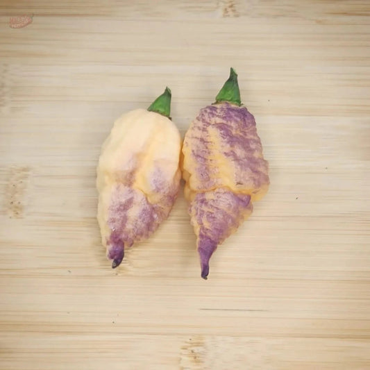BBG7 Hellwalker Peach - Mack's Peppers Superhot