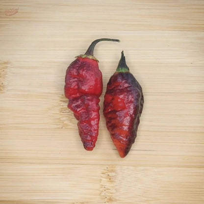 Black BBG Armageddon - Mack's Peppers Superhot
