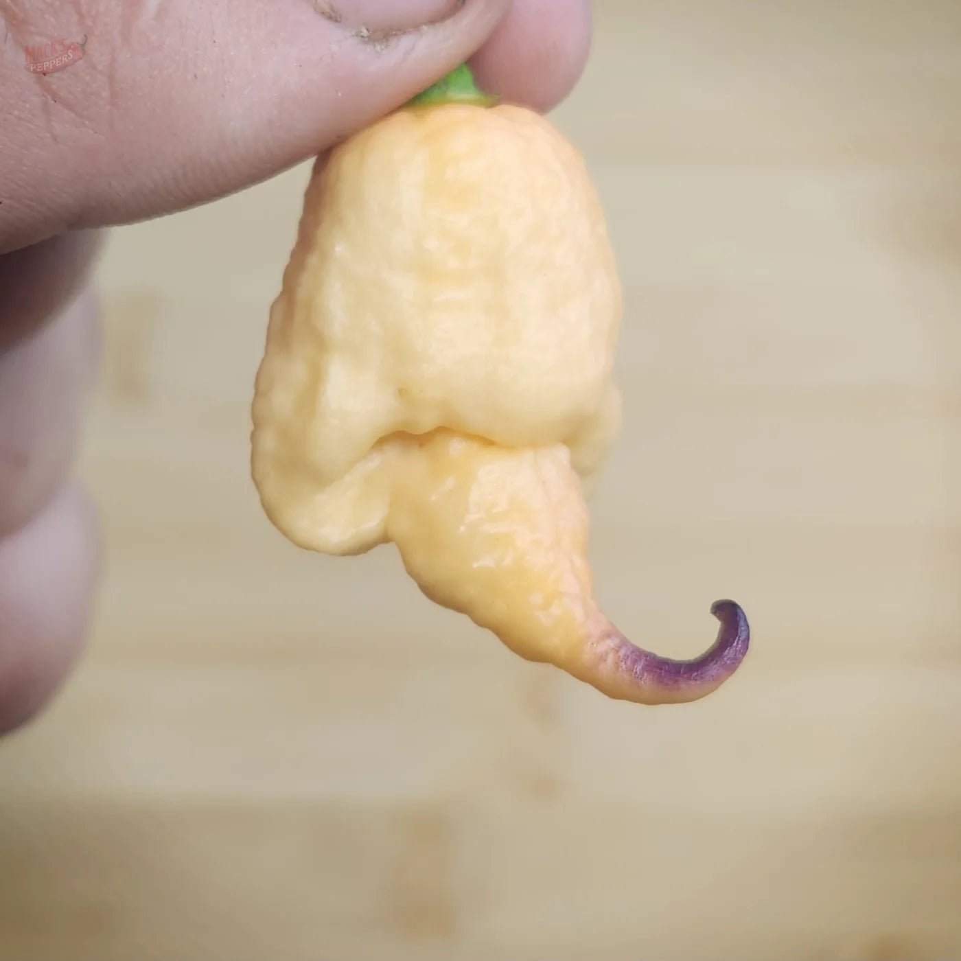 Boar Claw - Mack's Peppers Superhot