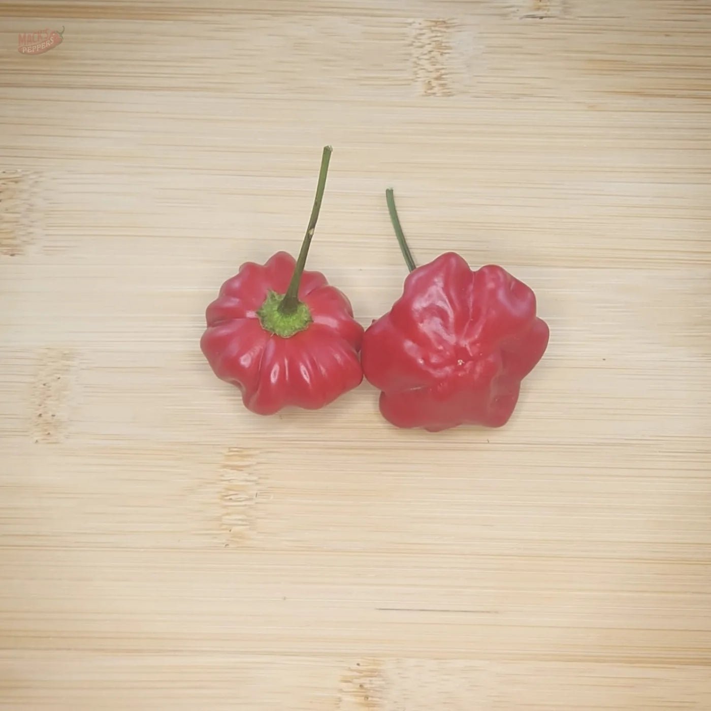 Brazilian Starfish - Mack's Peppers Medium