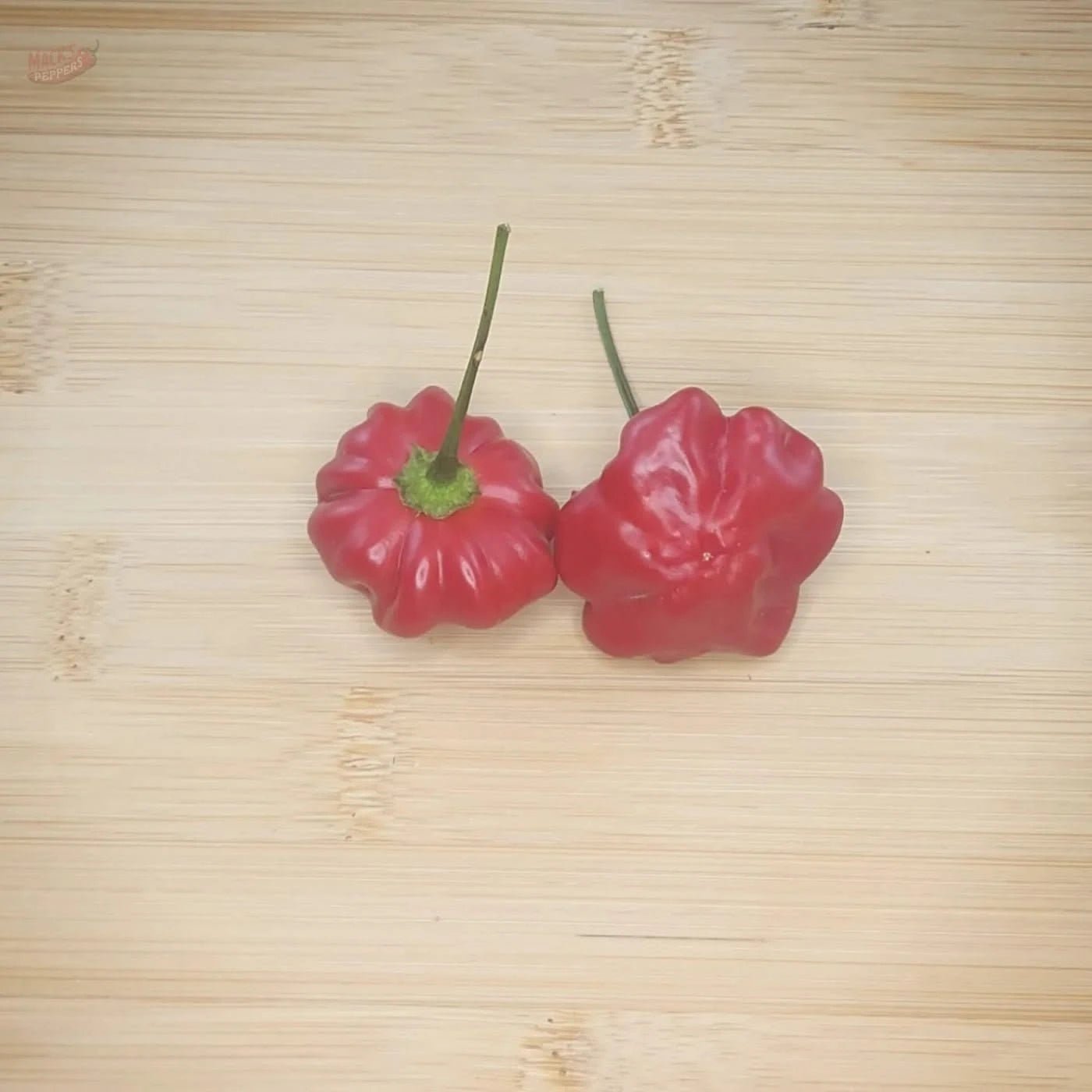 Brazilian Starfish - Mack's Peppers Medium