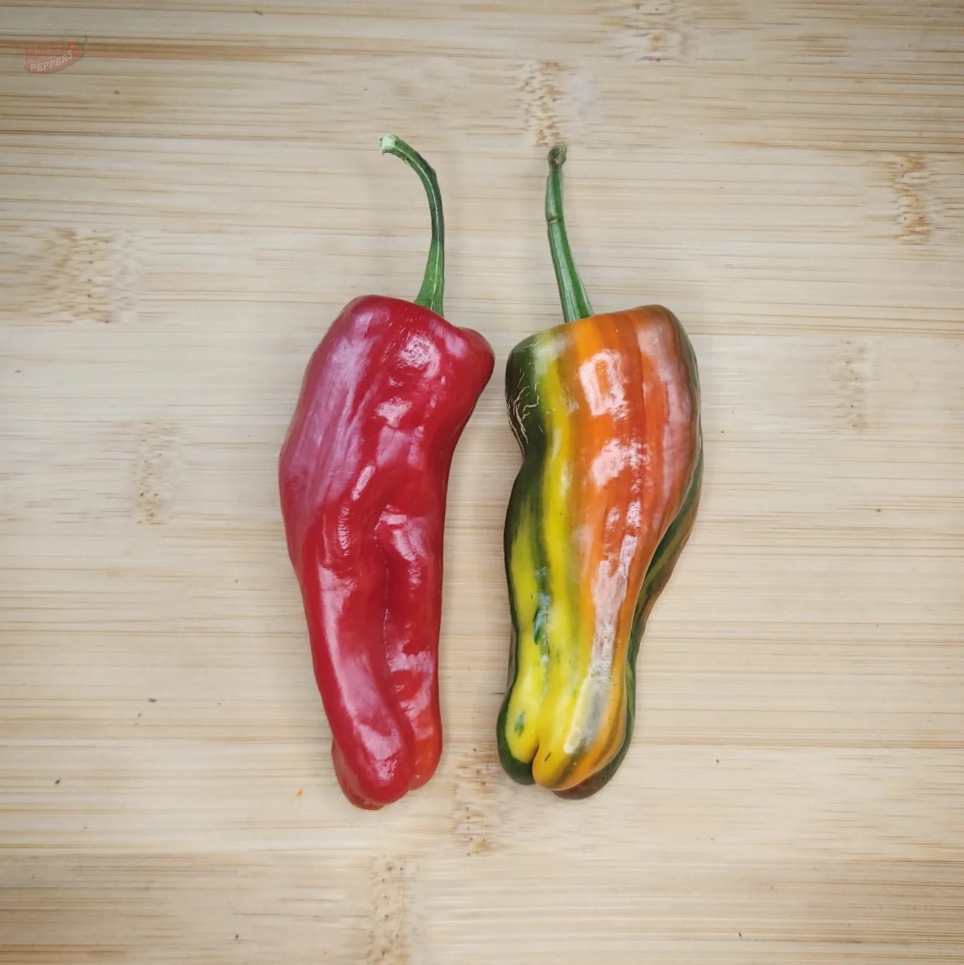 Bryans Blood - Mack's Peppers Mild