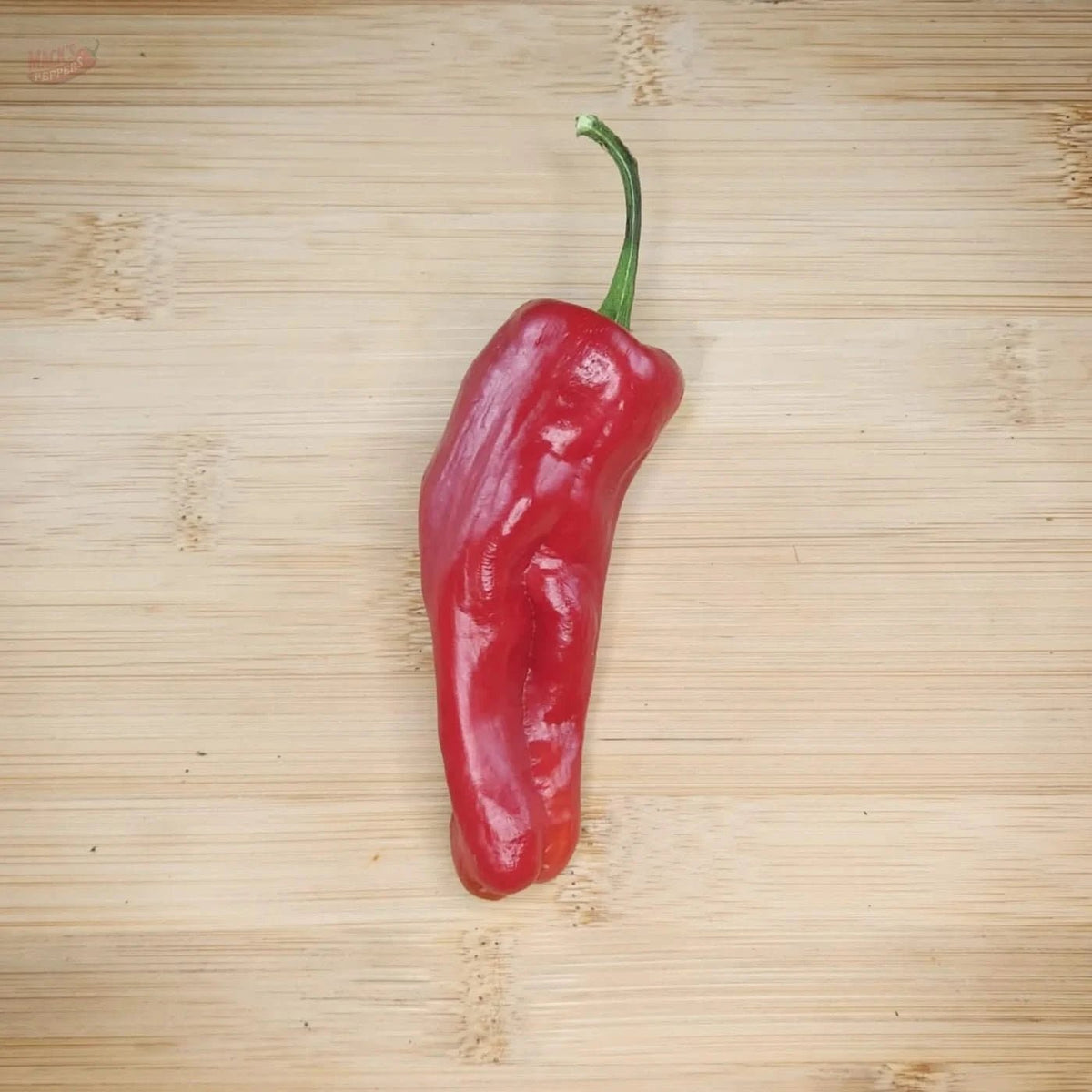 Bryans Blood - Mack's Peppers Mild