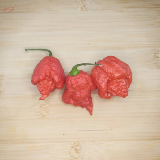 BTR x The End - Mack's Peppers Superhot