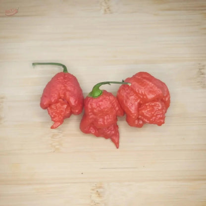 BTR x The End - Mack's Peppers Superhot