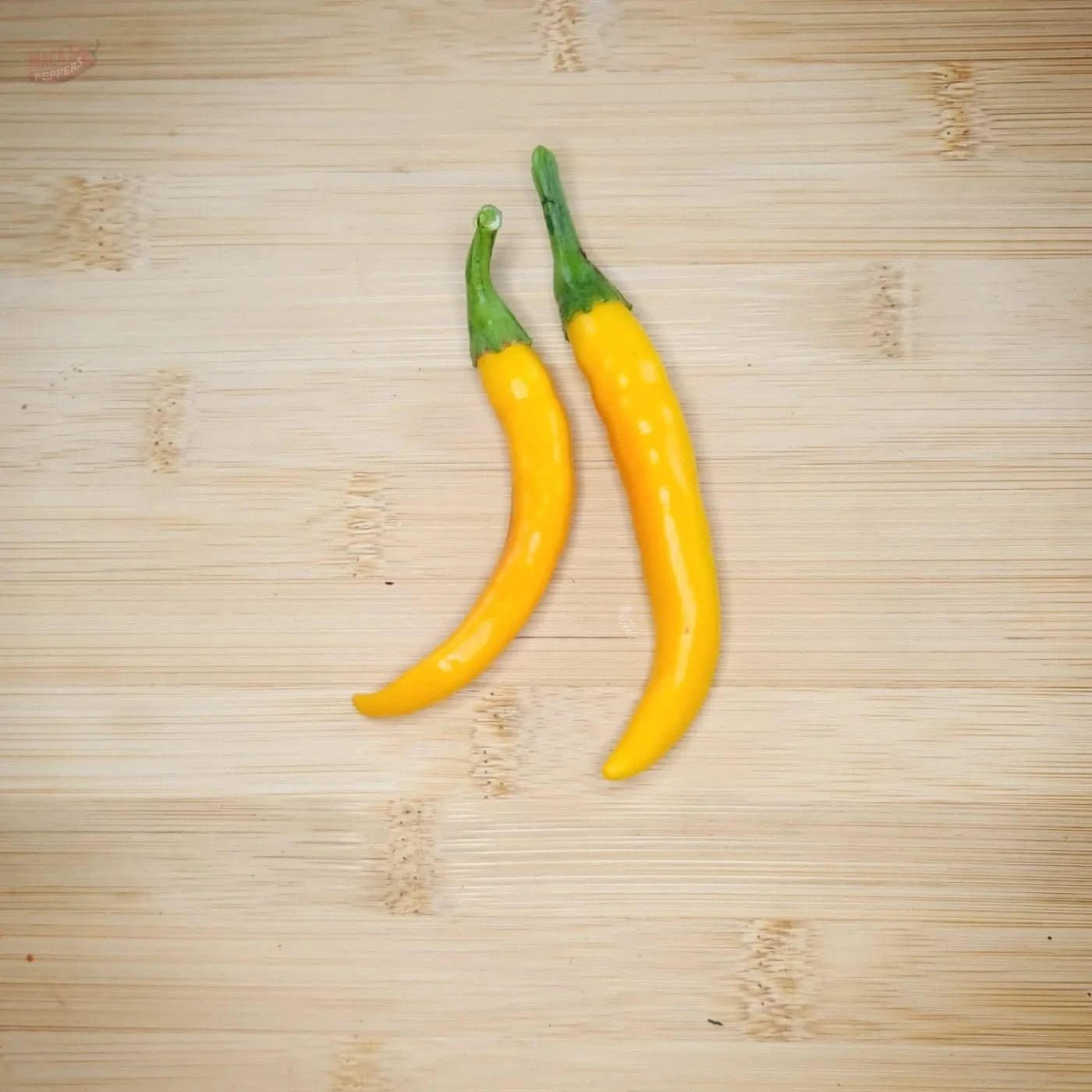 Bulgarian Carrot - Mack's Peppers Medium