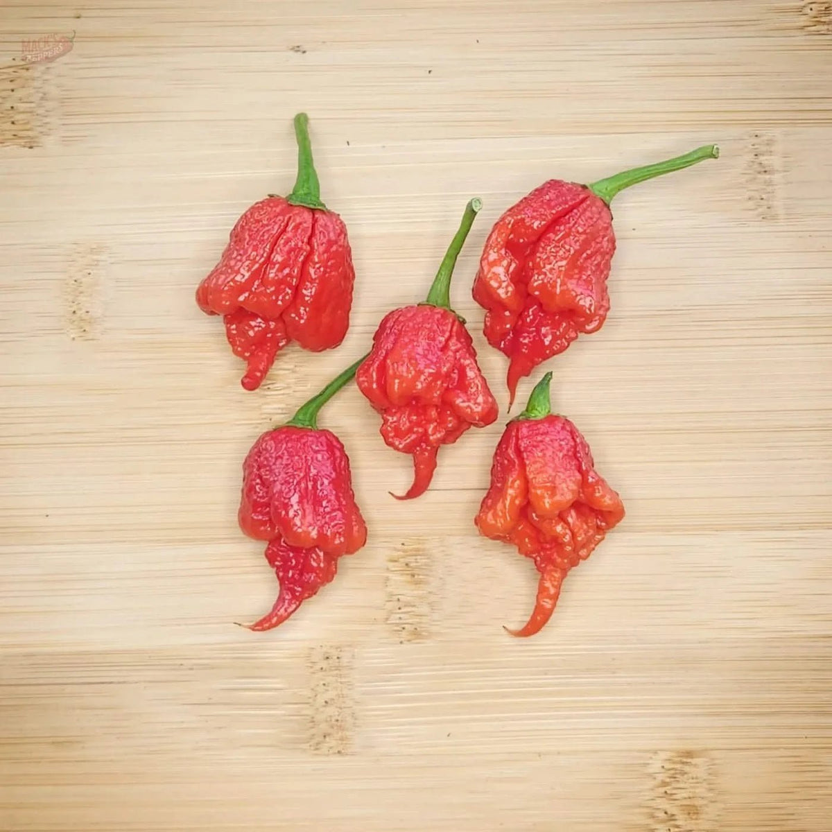 Carolina Reaper - Mack's Peppers Superhot