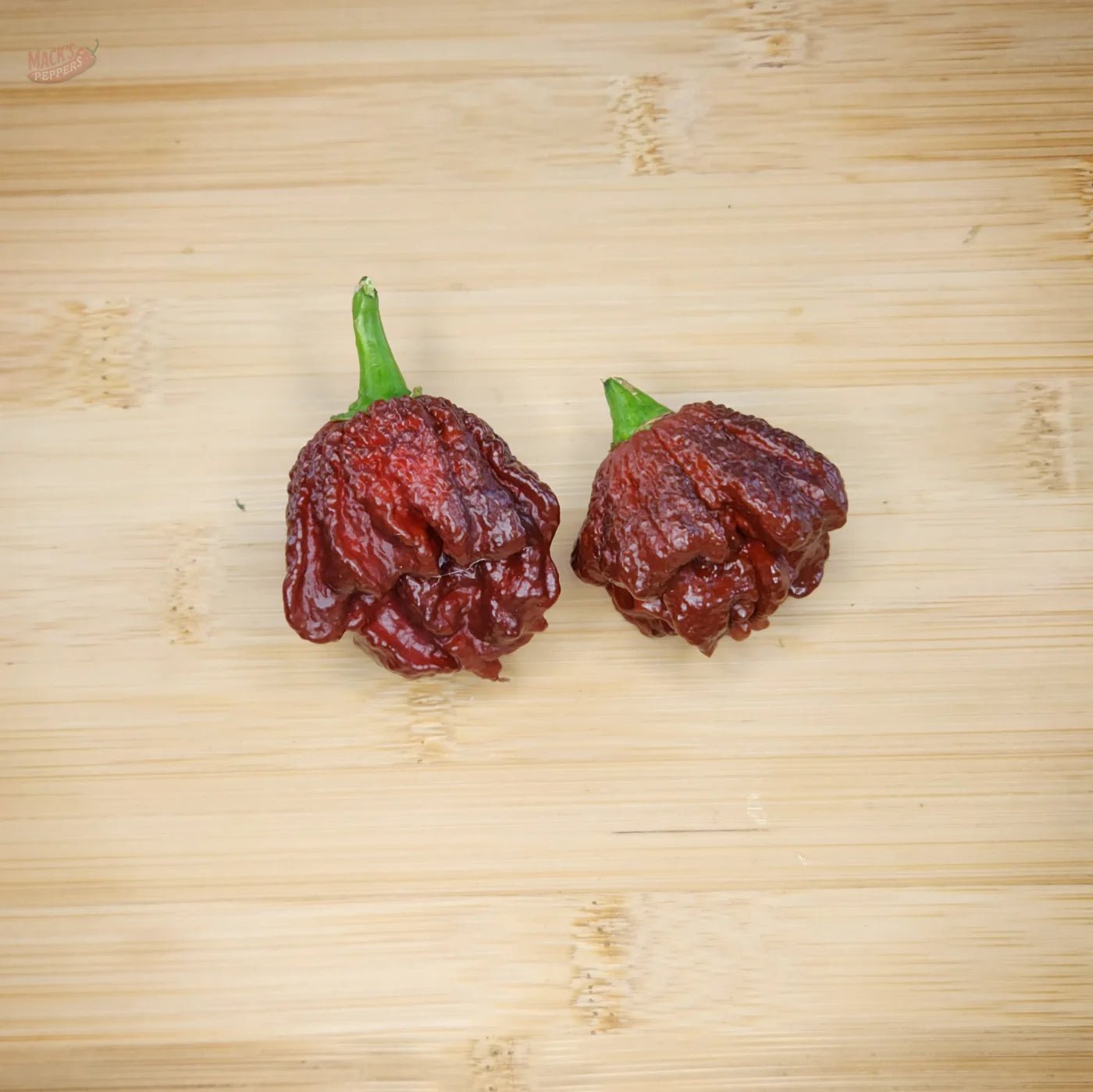 Chocolate Brainstrain - Mack's Peppers Superhot