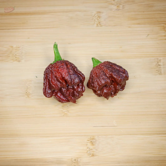 Chocolate Brainstrain - Mack's Peppers Superhot