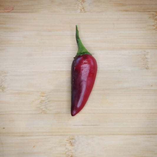 Czech Black - Mack's Peppers Mild
