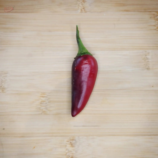 Czech Black - Mack's Peppers Mild