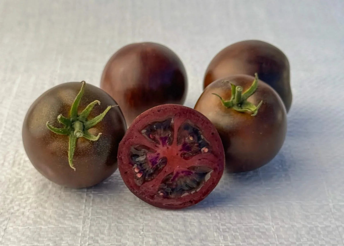 Dark Hollow - Mack's Peppers