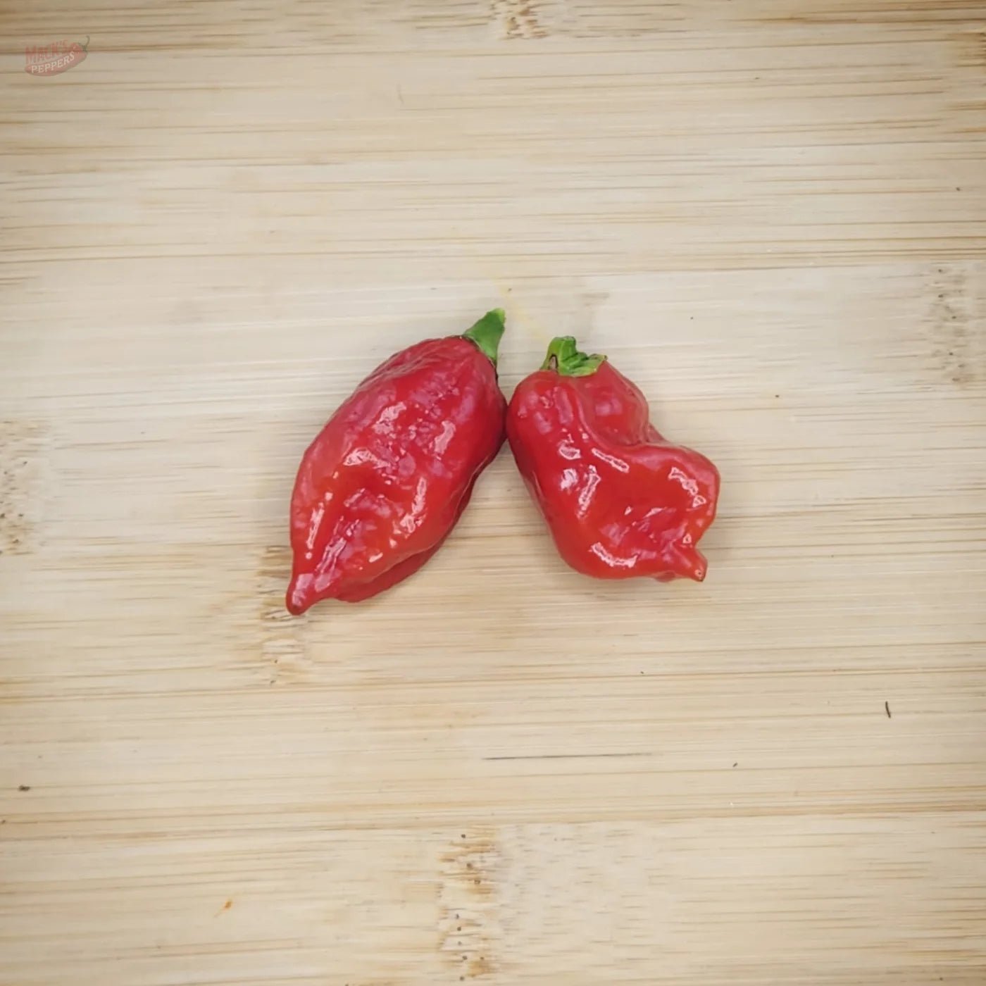 Dorset Naga - Mack's Peppers Superhot