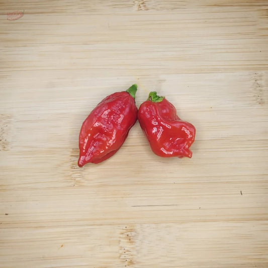 Dorset Naga - Mack's Peppers Superhot