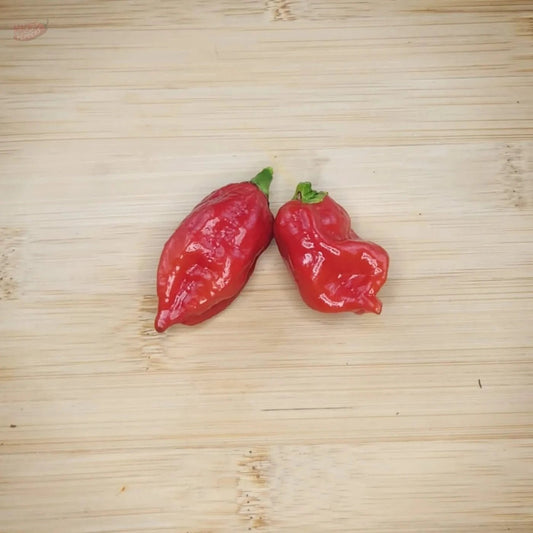 Dorset Naga - Mack's Peppers Superhot