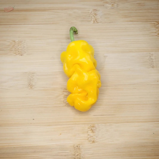 Dragons Toe - Mack's Peppers Hot