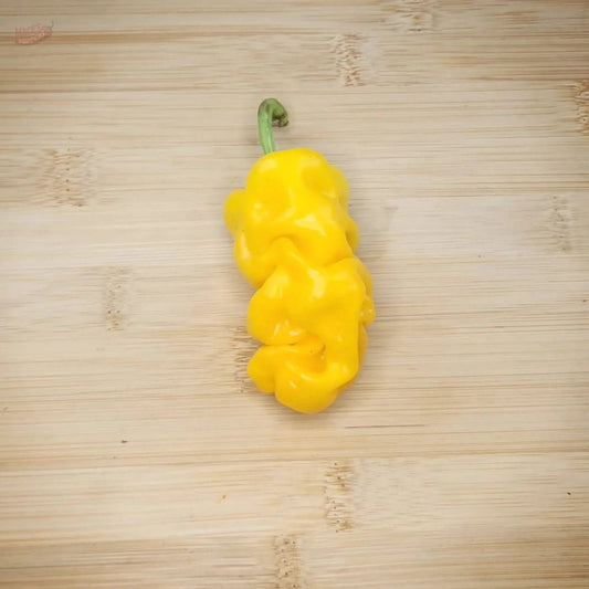 Dragons Toe - Mack's Peppers Hot