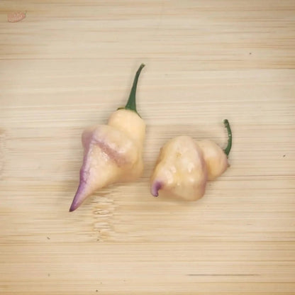 Ganzo Peach - Mack's Peppers Hot
